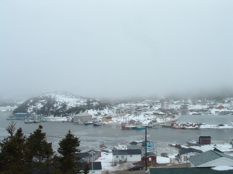 Fleur de Lys, NL SkyscraperPage Forum